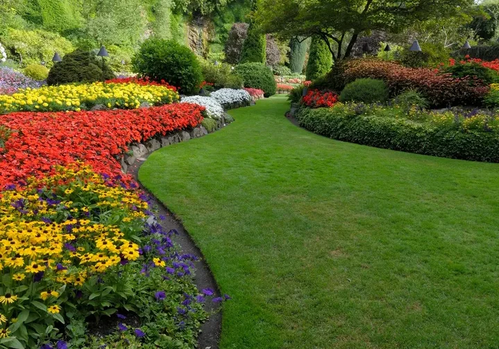 rs=w_720,h_541,cg_true (1)