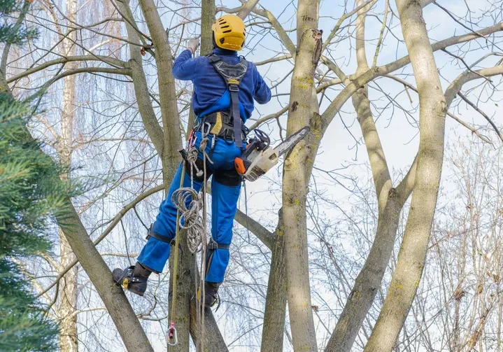 rs=w_720,h_541,cg_true (2)